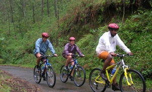 Cycling Tour to Kerala South India