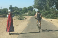 Cycling in Rajasthan with Taj and Tiger
