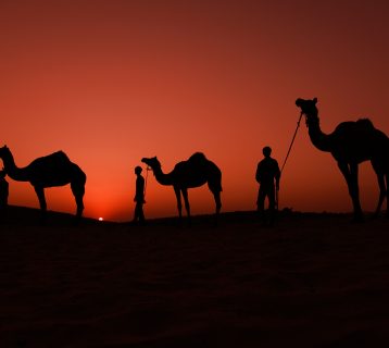 pushkar-fair-e