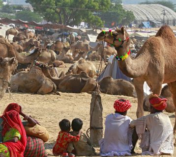 Pushkar Camel Fair, India