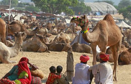 Pushkar Camel Fair, India