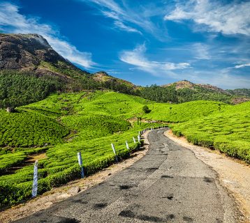 Scenic,Road,In,Green,Tea,Plantations,,Munnar,,Kerala,State,,India