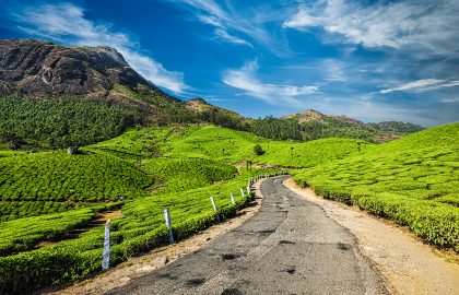 Scenic,Road,In,Green,Tea,Plantations,,Munnar,,Kerala,State,,India