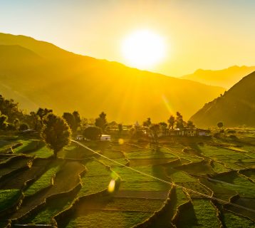 Rice Terrace of Uttaranchal