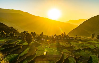 Rice Terrace of Uttaranchal