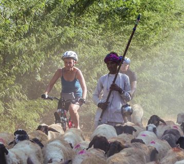 Women Cycling apparel, yes, its absolutely safe.