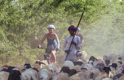 Women Cycling apparel, yes, its absolutely safe.