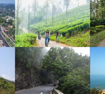 Cycling from Kochi to Goa A Coastal Adventure on Two Wheels