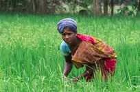 Cycling Tour in South India