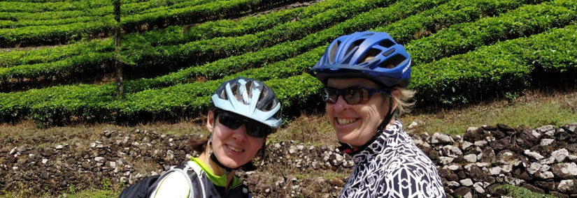 Two Cyclist at Munnar Tea Plantation