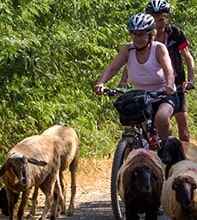 Rajasthan Cycling Tour