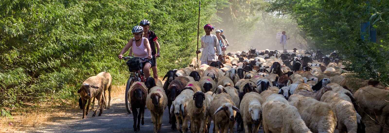 Cycling in Rajasthan